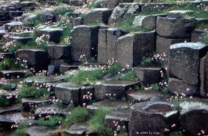 Giants Causeway