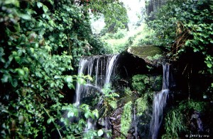 Wasserfall in den Wicklow Mountains